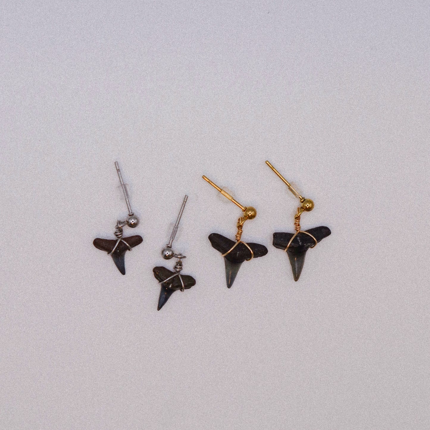 Shark Tooth Studs