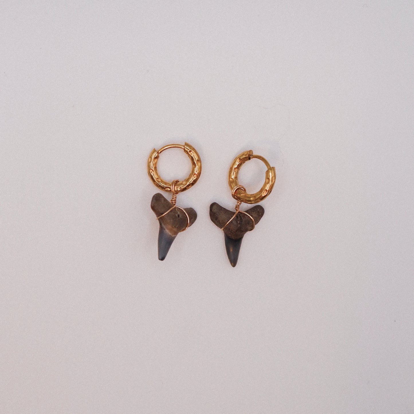 Shark Hoops