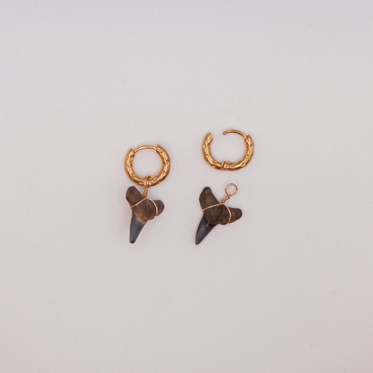 Shark Hoops