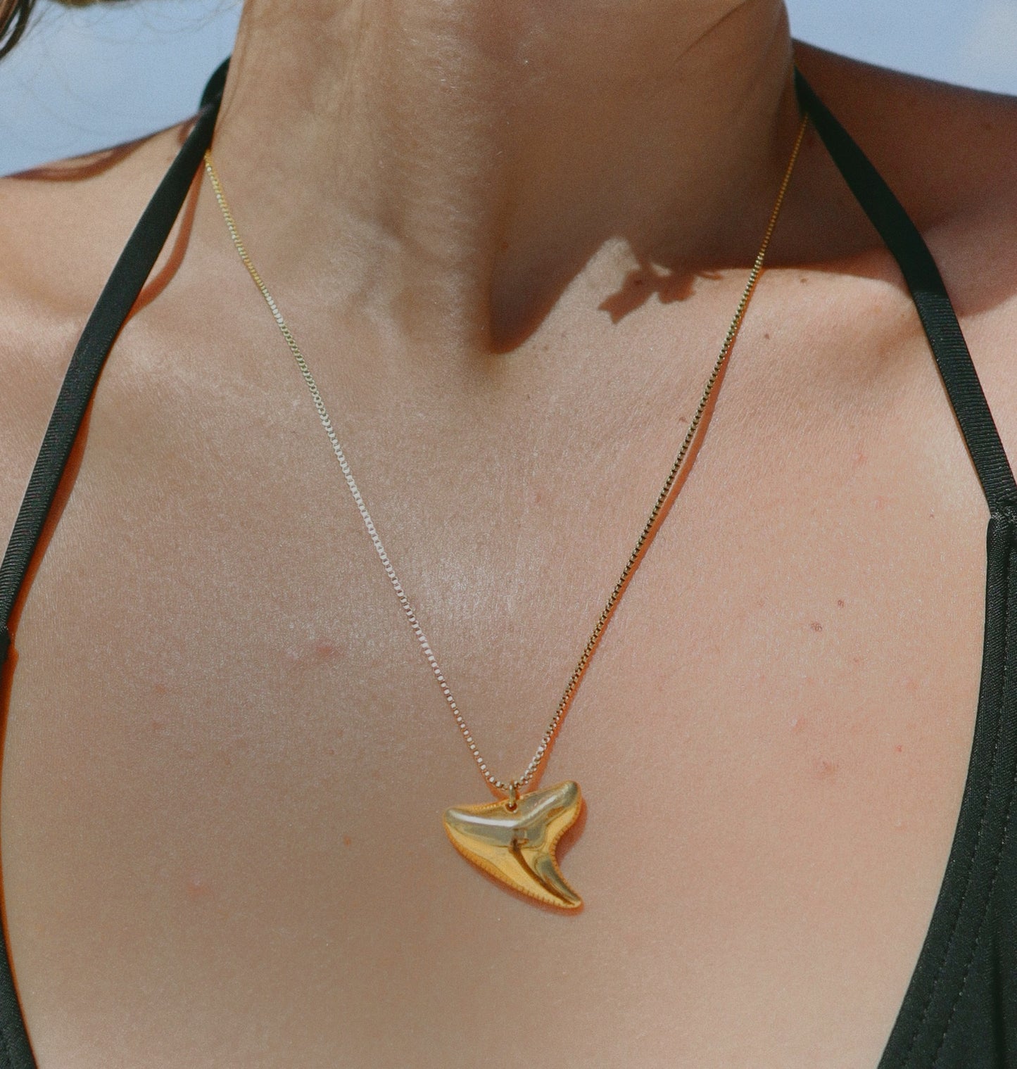 Fin Chain