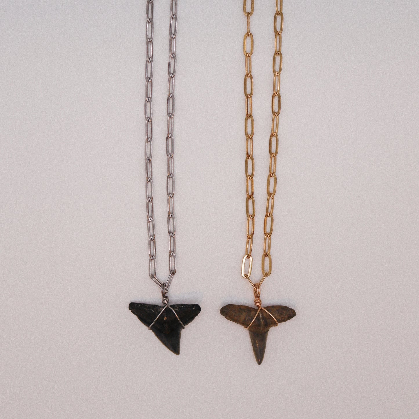 Shark Chain