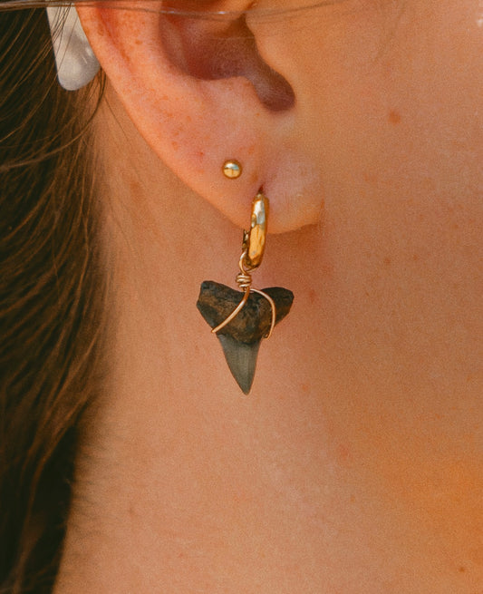 Shark Hoops