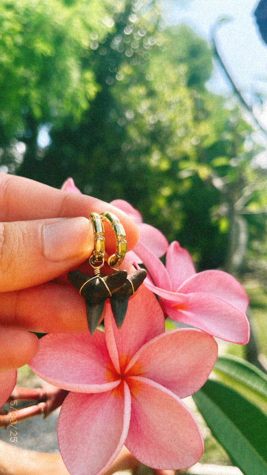 Star Hoops
