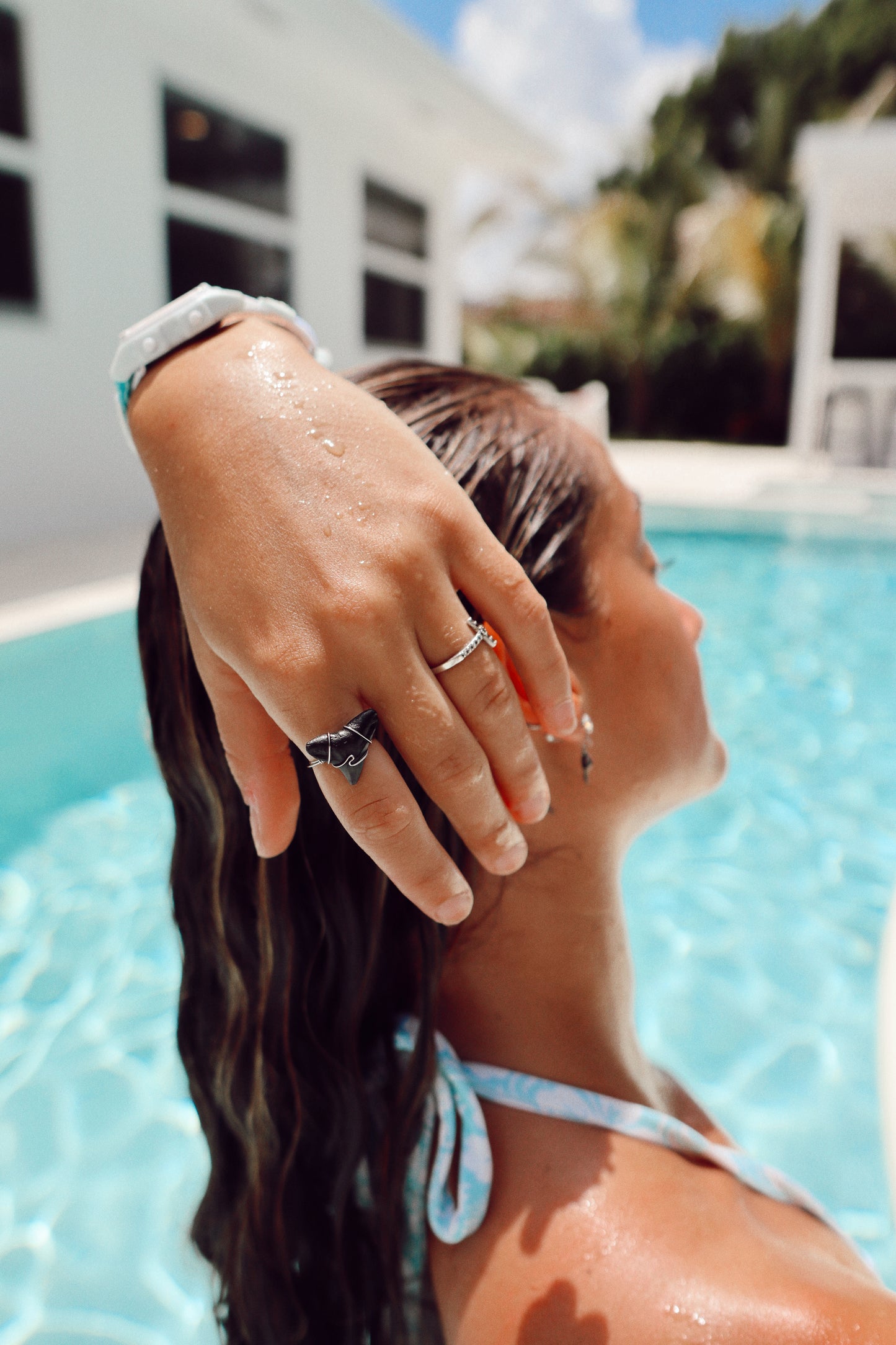 Wire Shark Ring