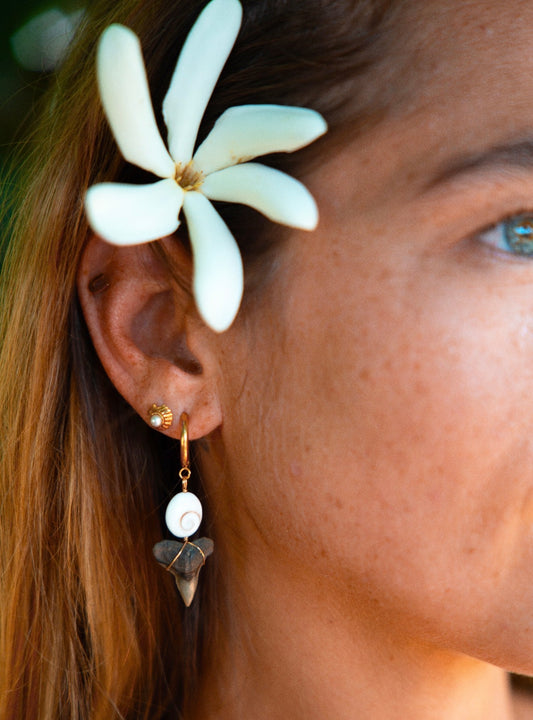 Aloha Hoops