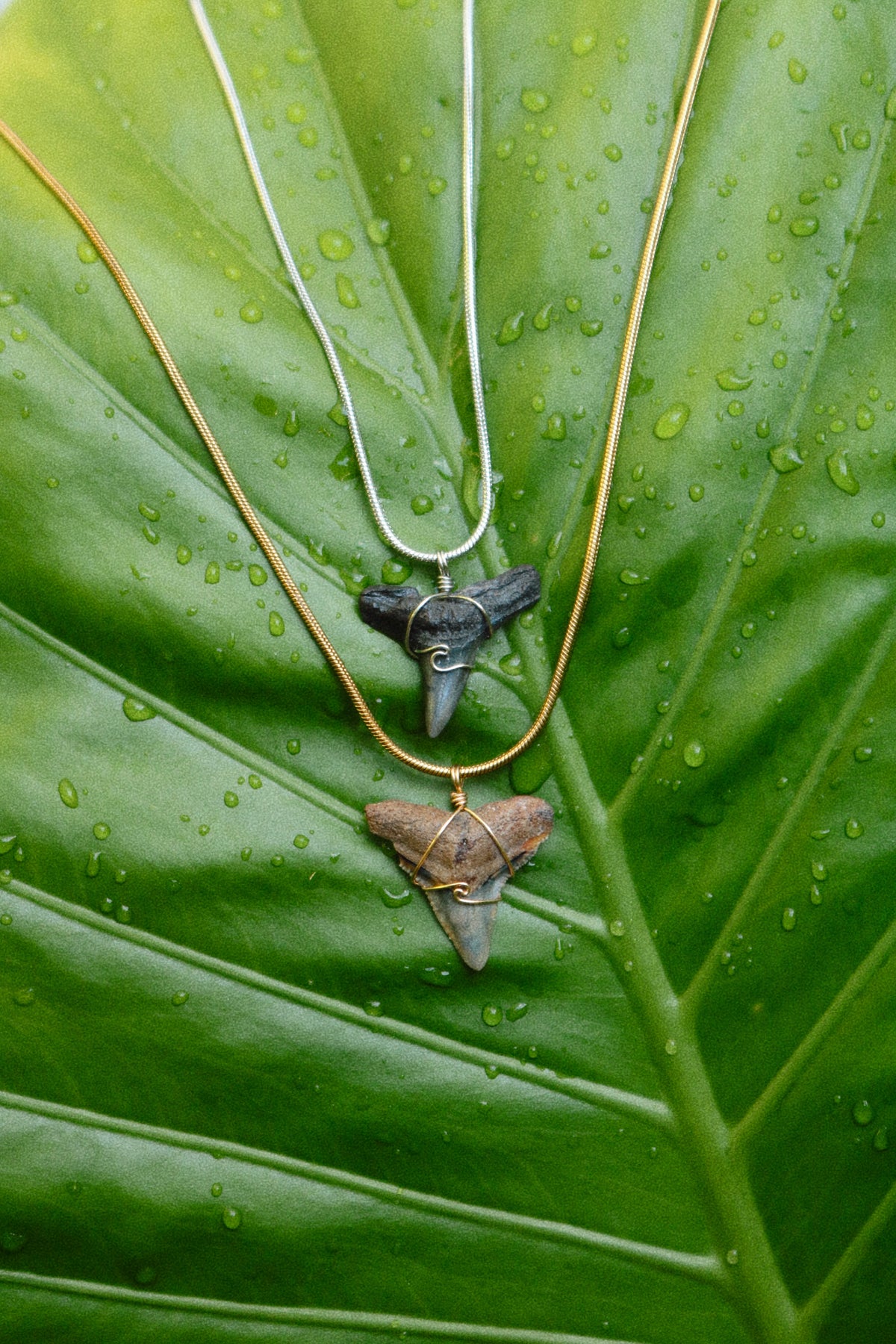 Wave Chain