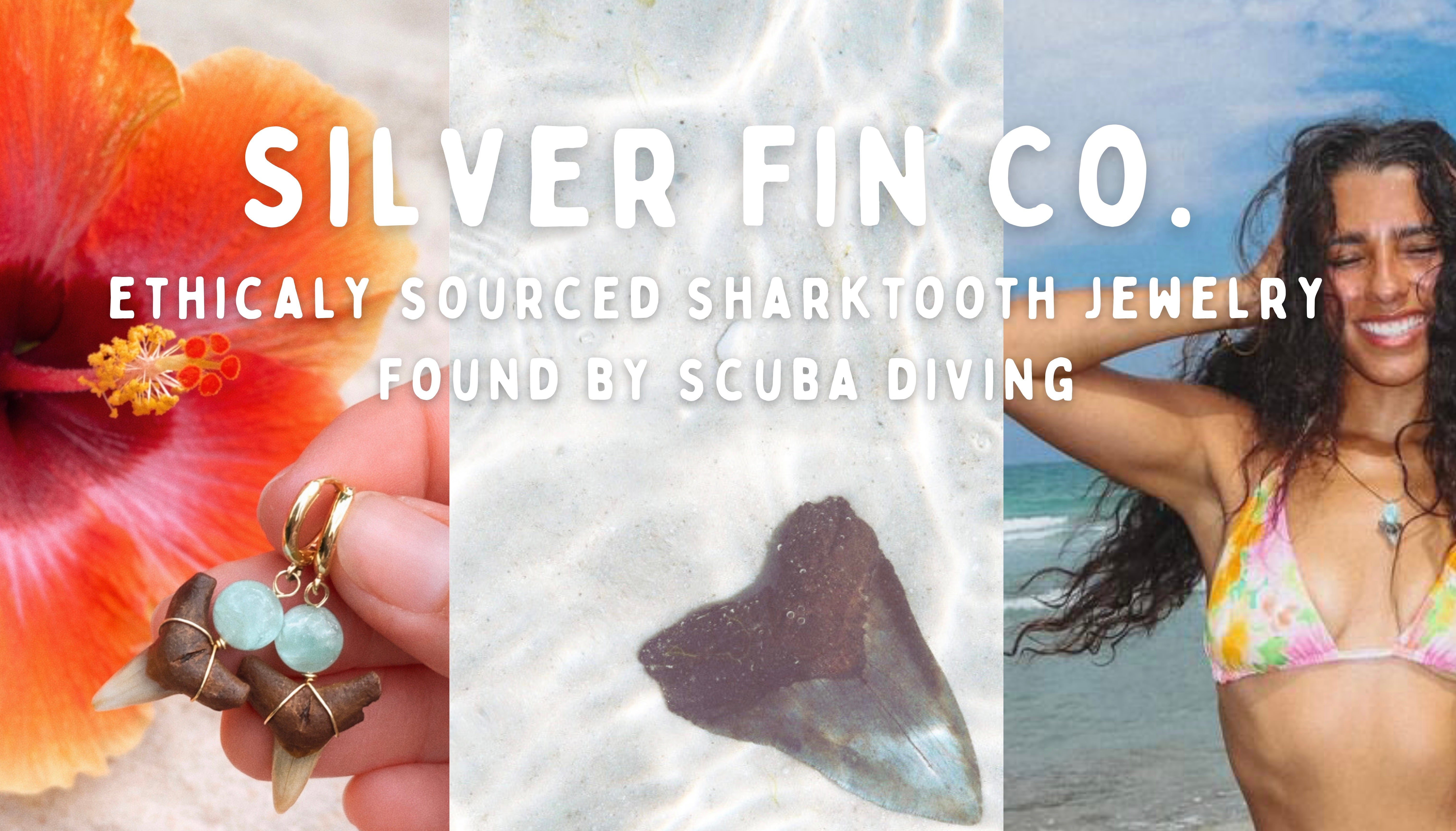 Silver Fin Collective LLC